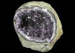 Purple Amethyst Geode - Uruguay #66705-1